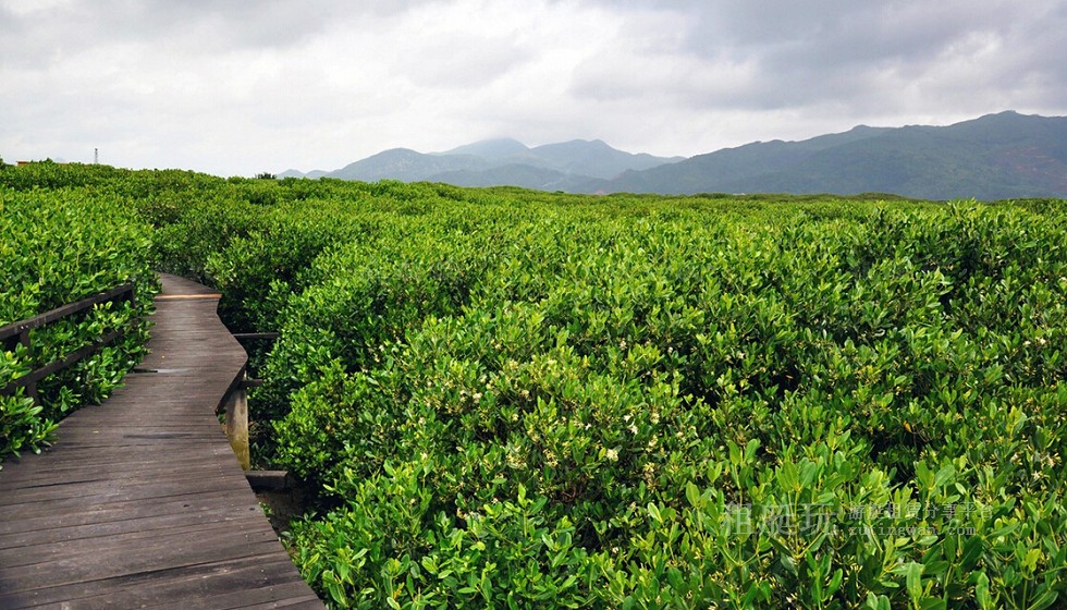 廈門(mén)五緣灣帆船港游艇租賃 廈門(mén)五緣灣帆船港游艇租賃