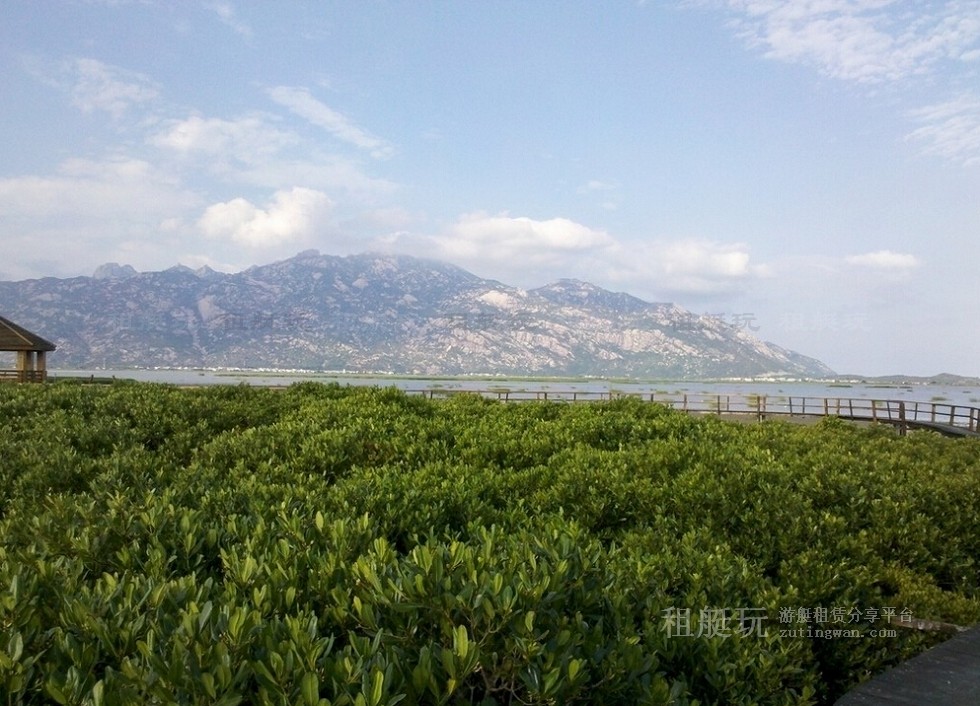 廈門(mén)五緣灣帆船港游艇租賃 廈門(mén)五緣灣帆船港游艇租賃