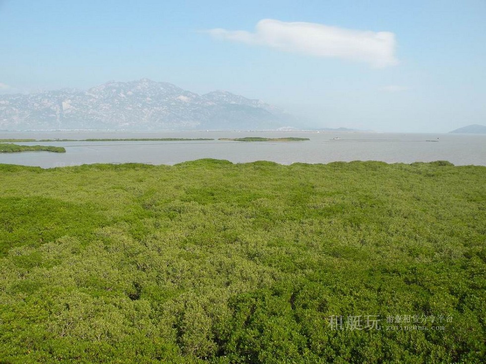 廈門(mén)五緣灣帆船港游艇租賃 廈門(mén)五緣灣帆船港游艇租賃