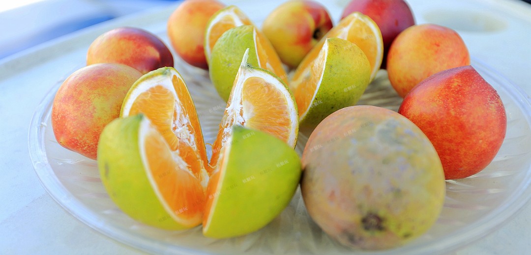 6.4米運動快艇 6.4米運動快艇